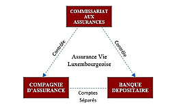 Luxembourg Assurance Vie - A Safe Haven?
