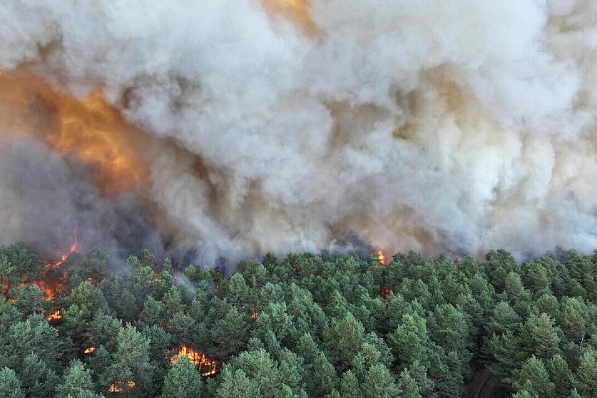 France Is Burning — And Not Always by Accident