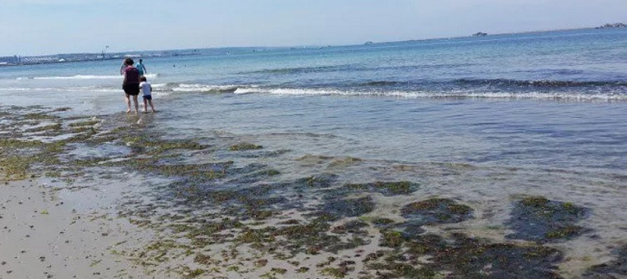 France's Most Polluted Beaches