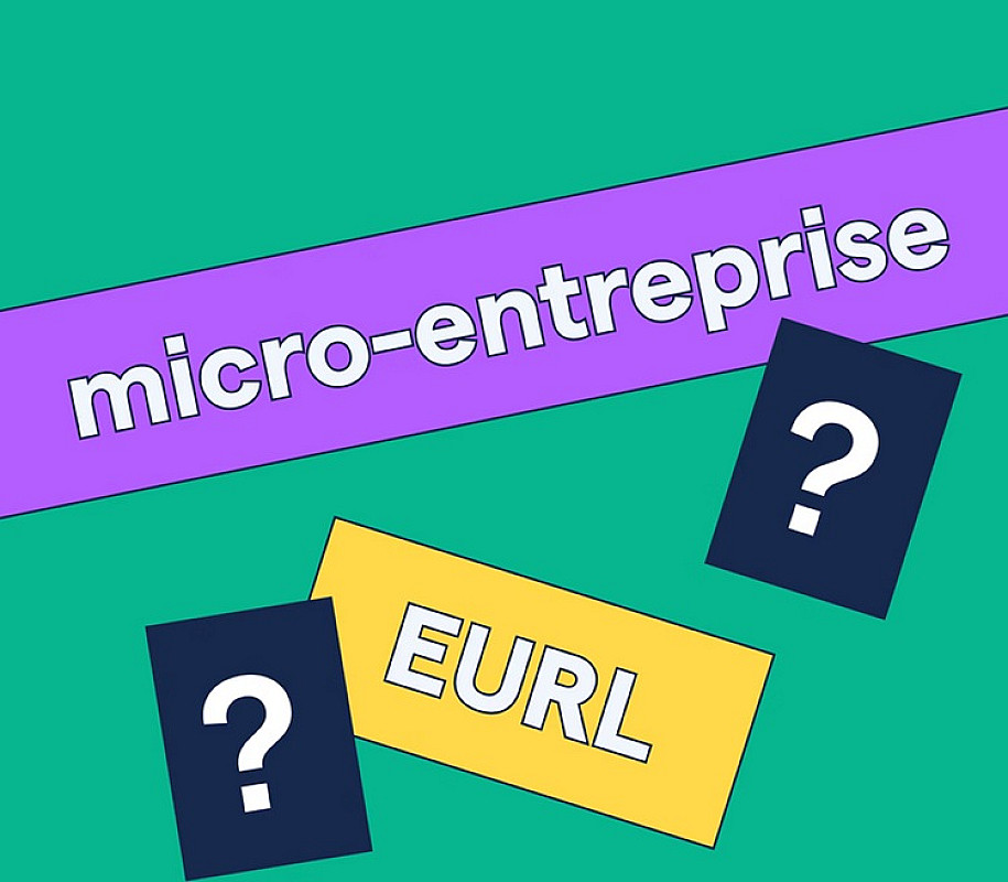 Limited Company or Micro-Entreprise?