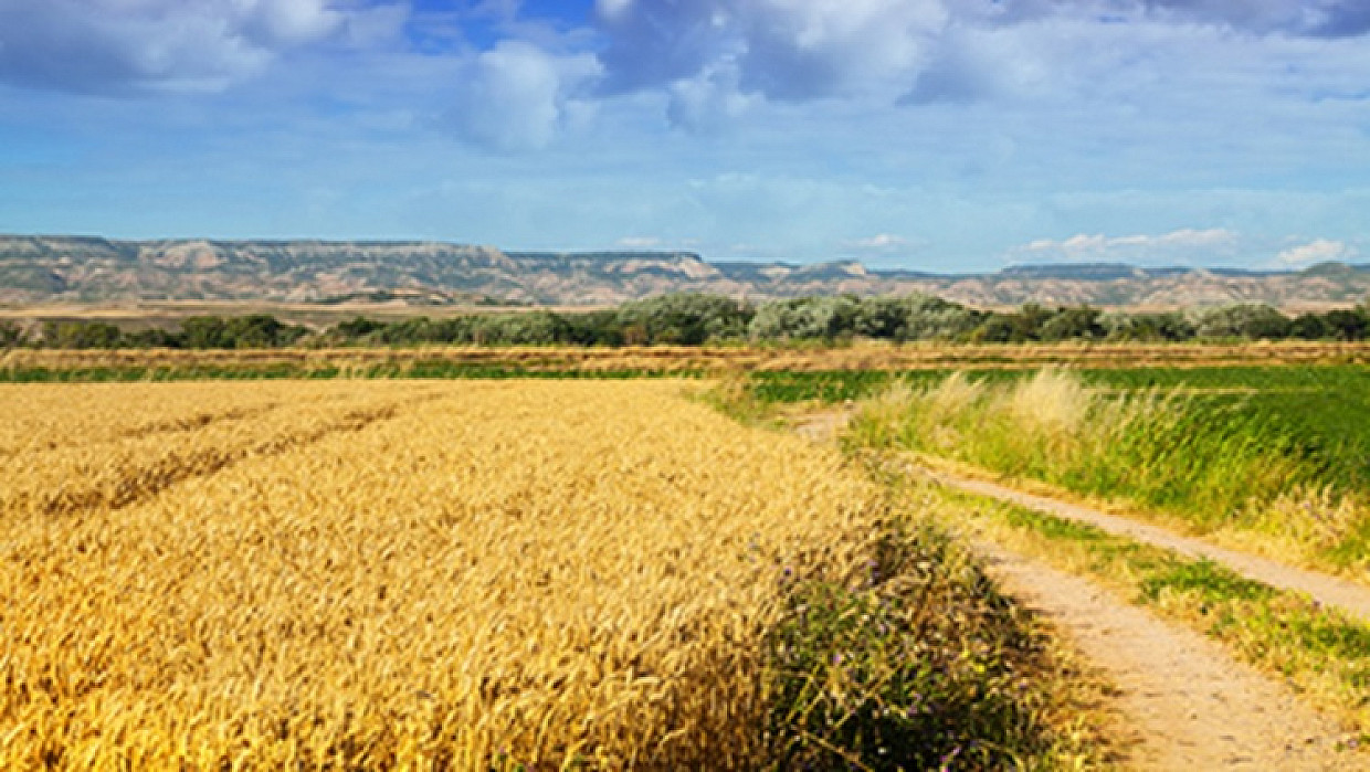Farmers Right of Way