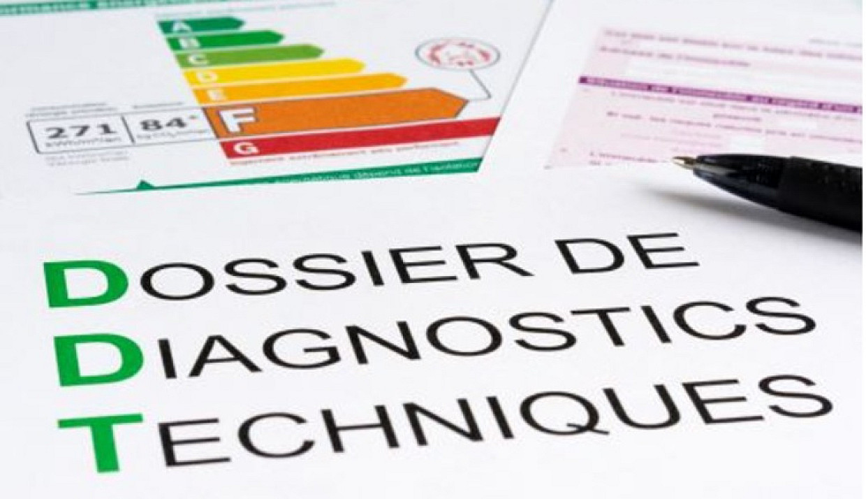 Limites of Termite Survey 