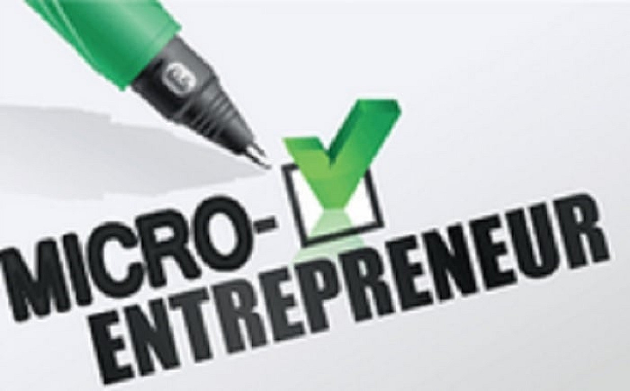 Status of Spouse/Partner in a Micro Business