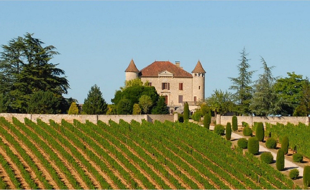 Vineyard Prices in France 2021