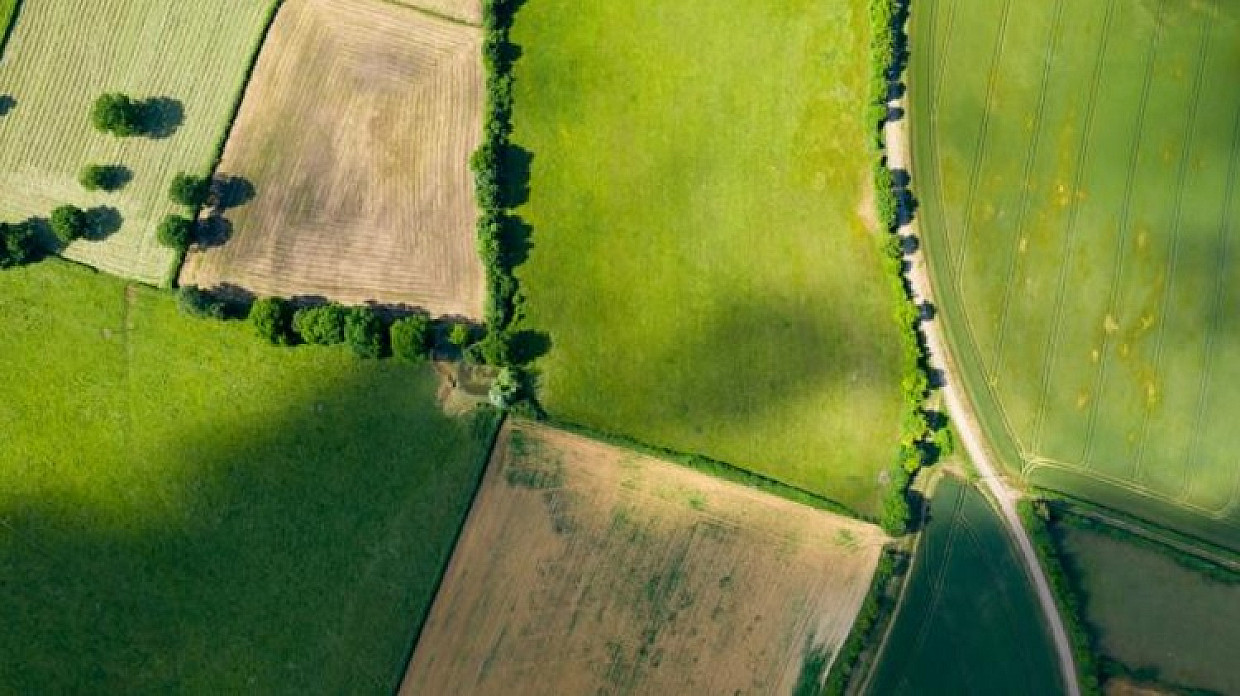 France's Plan for Hedgerow Planting