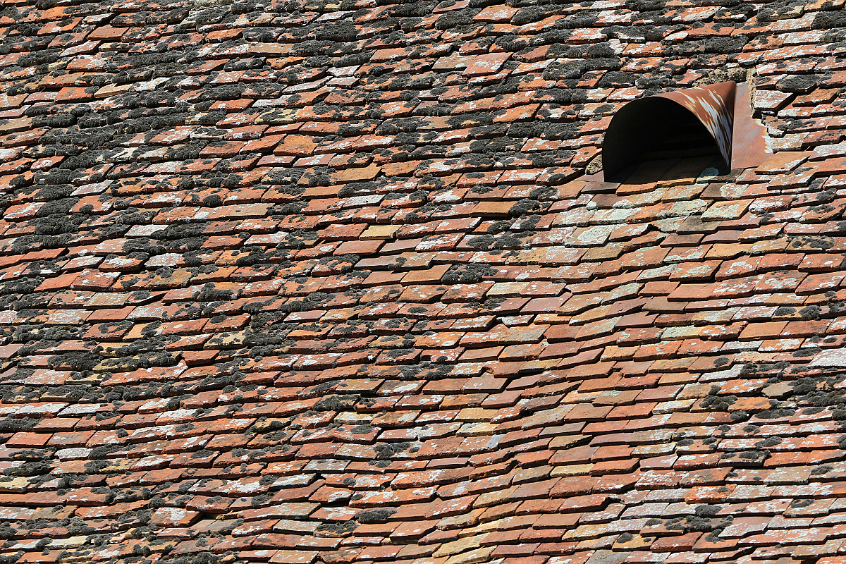 Seller Not Liable for Defective Roof