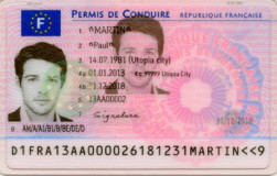 French Driving Licence -  Recovery of Points