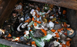 Domestic Waste Collection and Composting