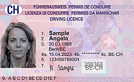 Suspension of a Foreign Driving Licence