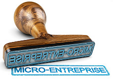 Status of Spouse/Partner in a Micro Business