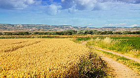 Farmers Right of Way