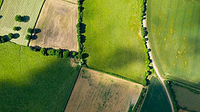 France's Plan for Hedgerow Planting