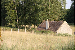 Farming Licence Requalified as a Tenancy