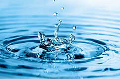 Water and Sewerage Charges
