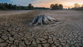 Drought Crisis in France